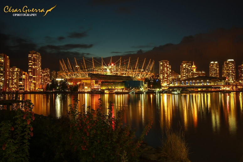 Night Photography